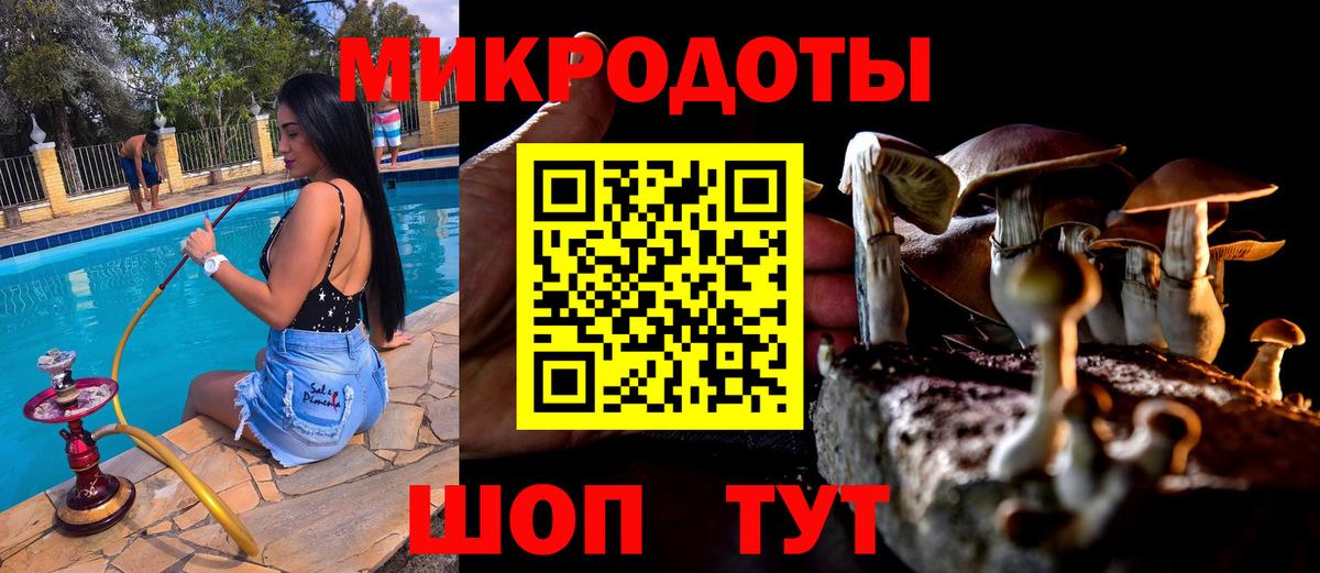 Советск  Галлюциногенные грибы мицелий  Вход с VPN 